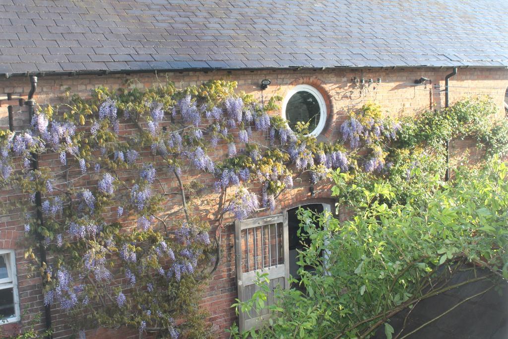 The Jockey Room Hideaway Spurstow Exterior photo